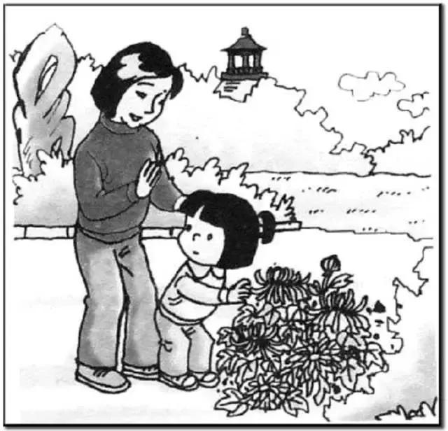如何通过团队协作策略提升整体篮球水平_2